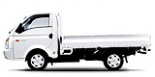 H100 автобус (P)