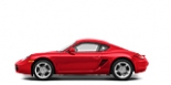 CAYMAN (987)